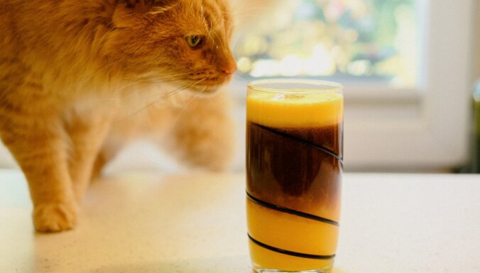 Fotorecepte: kafija ar apelsīnu sulu laiskiem brīvdienu rītiem