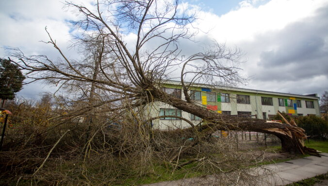 Латвийцев предупреждают: сегодня ветер может ломать деревья, возможно затопление территорий