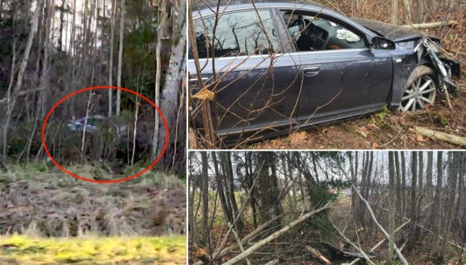 ФОТО: Недалеко от Тинужи Audi перелетел через канаву и повалил несколько деревьев
