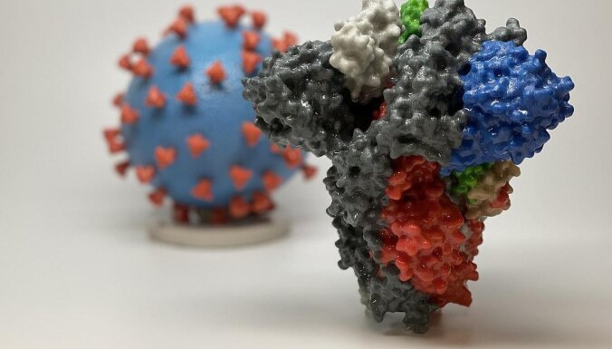 Ученые нашли способное нейтрализовать основные штаммы Covid антитело