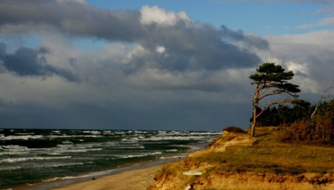WWF: Латвия ничего не сделала для спасения Балтийского моря
