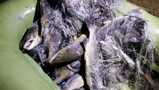 Maluzvejnieki Ventas rumbā nodarījuši zaudējumus 8256 eiro apmērā