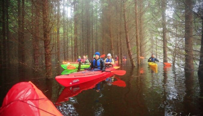 Somā nacionālais parks Igaunijā, kur ar laivu var braukt pa mežu un pagalmiem