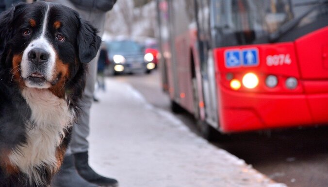 Ar Covid-19 inficējies pasažieris braucis autobusā no Ventspils uz Talsiem