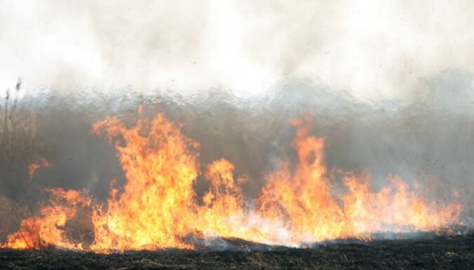 Latvijā šogad reģistrēti 595 kūlas ugunsgrēki