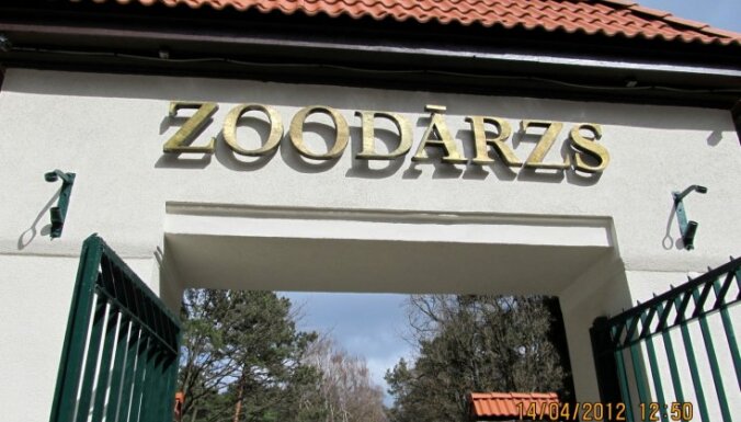 Ukrainas bēgļu ģimenēm Rīgas dome piešķirs biļetes Zoodārza apmeklējumam