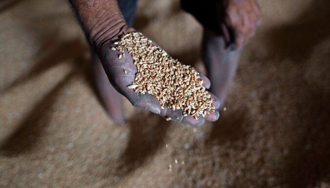 Киев запустил программу доставки зерна в беднейшие страны