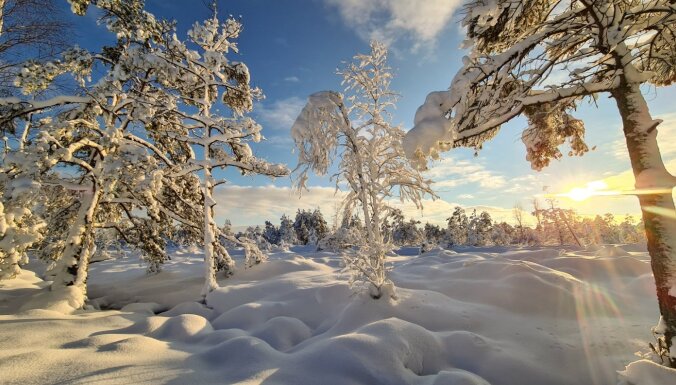 Foto: Gleznaina pastaiga sniega segā klātajā Cenas tīrelī