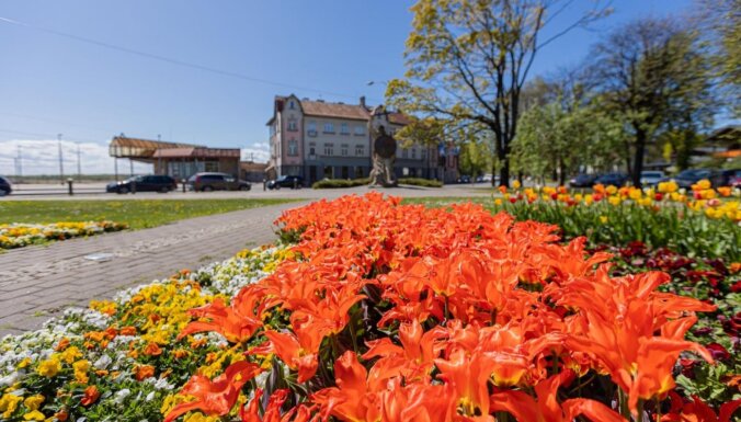 ФОТО: В парках и скверах Юрмалы зацвели более 30 тысяч тюльпанов и 15 тысяч фиалок