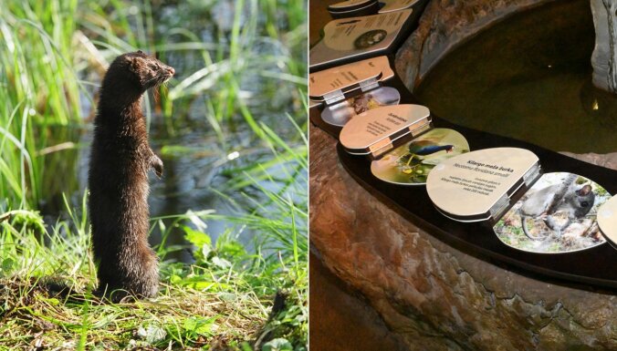 Jaunie Rīgas zoo interaktīvie stendi izglītos par invazīvajām sugām