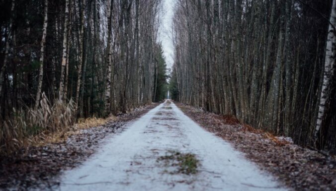 ФОТО. Зимняя прогулка по болотной тропе Ниедрайс-Пилка на смотровую вышку