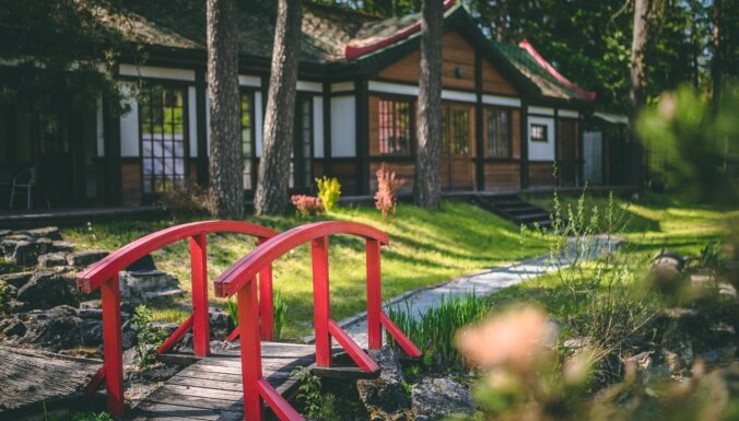 ФОТО: Отдохнуть в тишине – удивительный парк бонсай неподалеку от Инчукалнса