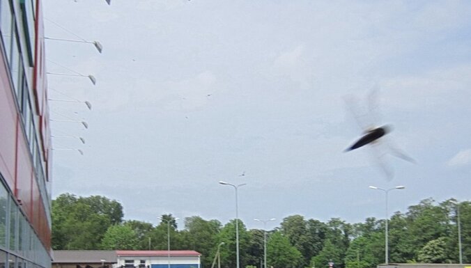 Pāris dienas Liepājai uzbruka spāres (video)