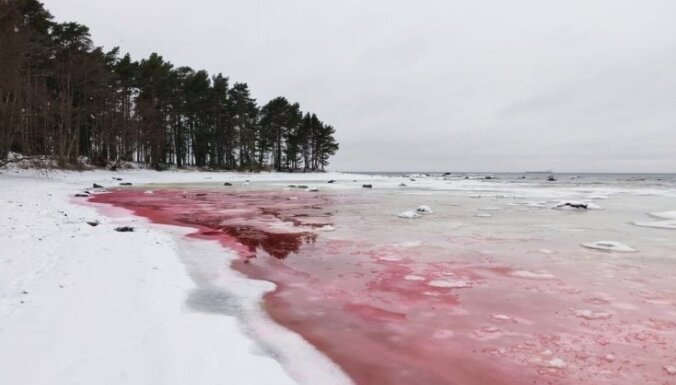 ФОТО: В Эстонии, на пляже Суурупи вода стала кроваво-красной