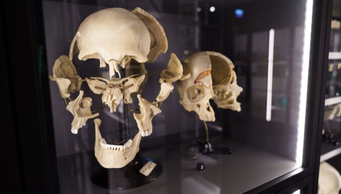 Iepazīt cilvēku ķirurga acīm – pirmo reizi Muzeju naktī piedalās RSU Anatomijas muzejs