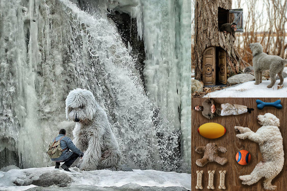 Фотограф "отфотошопил" свою собаку и превратил ее в гигантского друга по играм