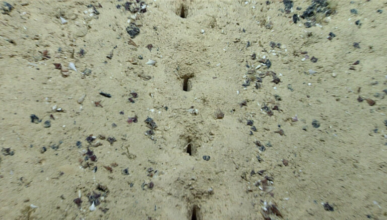 Zinātnieki meklē izskaidrojumu dīvainiem caurumiem okeāna gultnē
