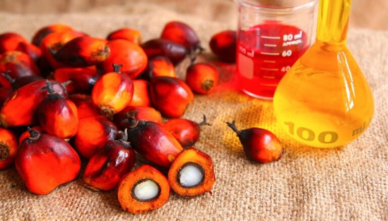 Правда ли, что пальмовое масло опасно для здоровья?