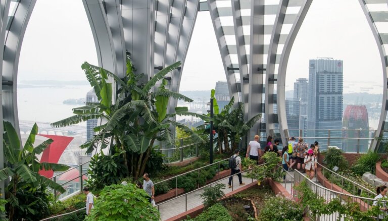 ФОТО. Оазис в большом городе – новый небоскреб Сингапура украсили 80 тысячами растений