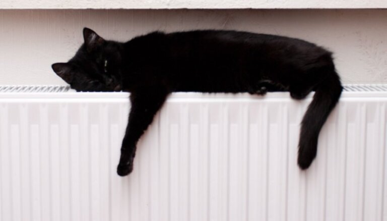 Kā pareizi... Atgaisot radiatoru