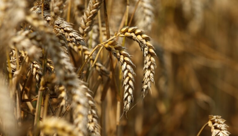 ООН подтвердила продление черноморской "зерновой сделки". Россия заявляет, что она продлена на 60 дней