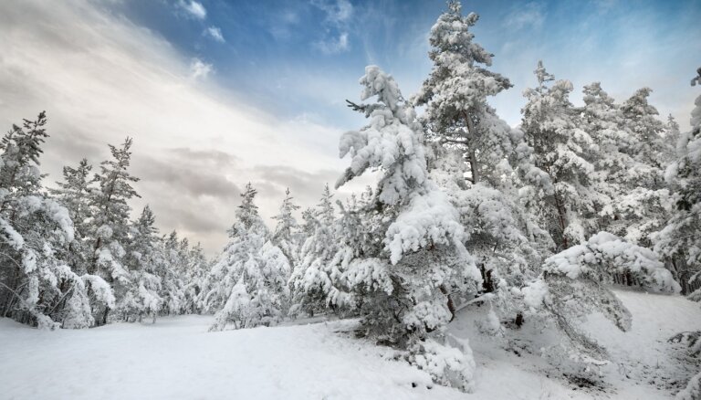Ziemas pasaka Gaujas nacionālajā parkā: kur pabūt un ko izbaudīt