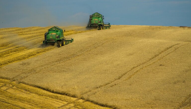 Экспорт зерна из Украины. Что изменилось за месяц после соглашения