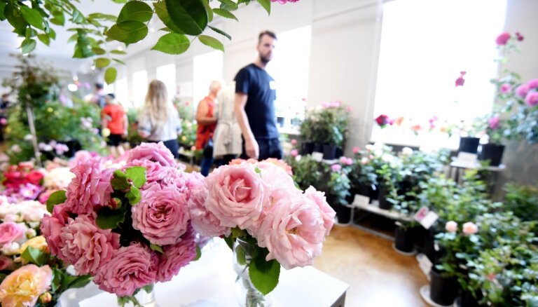 ФОТО. В Латвийском музее природы проходит выставка роз, обещают показать 100 сортов
