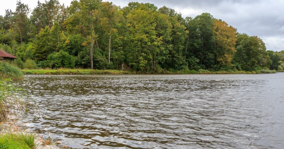 Eight dead people were lifted from the water bodies on weekends