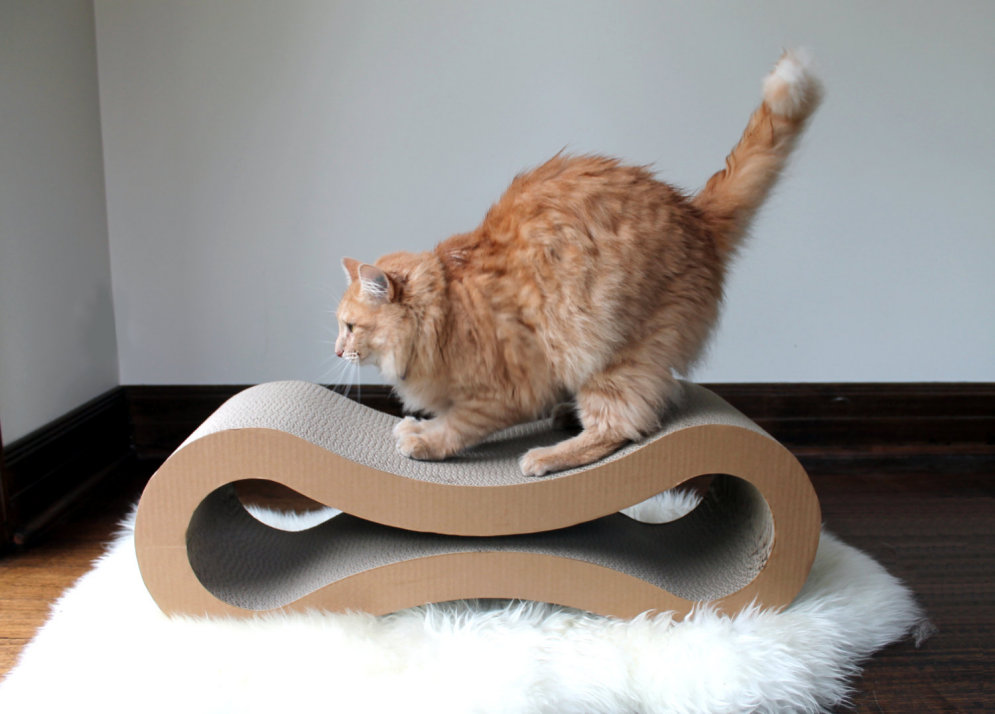 Котомебель: 10 прекрасных предметов мебели для котов (продается!)