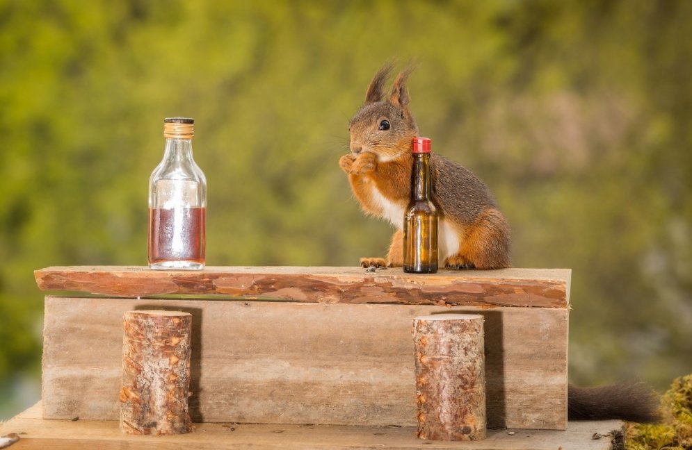 Divas vāveres pieķertas, pie bāra letes lietojot alkoholu